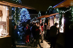 These are the colors I love